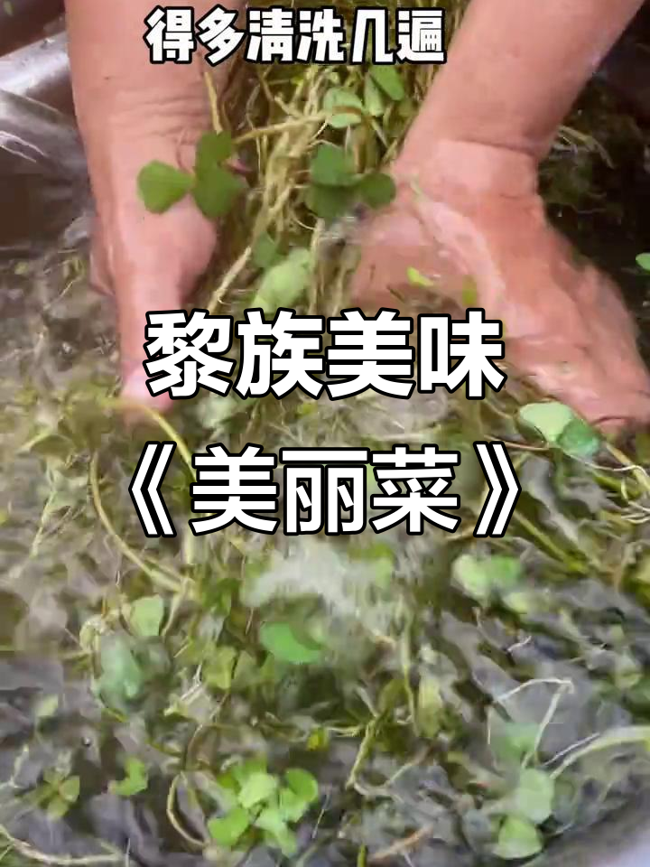 黎族美食《美丽菜》:你尝过吗?