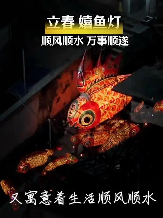  立春时节,凡是见过这一条大鱼的人,都会顺风顺水万事顺遂。汪满田鱼灯歙县 素材来源∶安徽共
