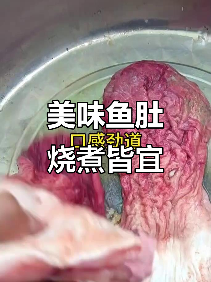 鱼肚:口感劲道,红烧爆炒凉拌都美味