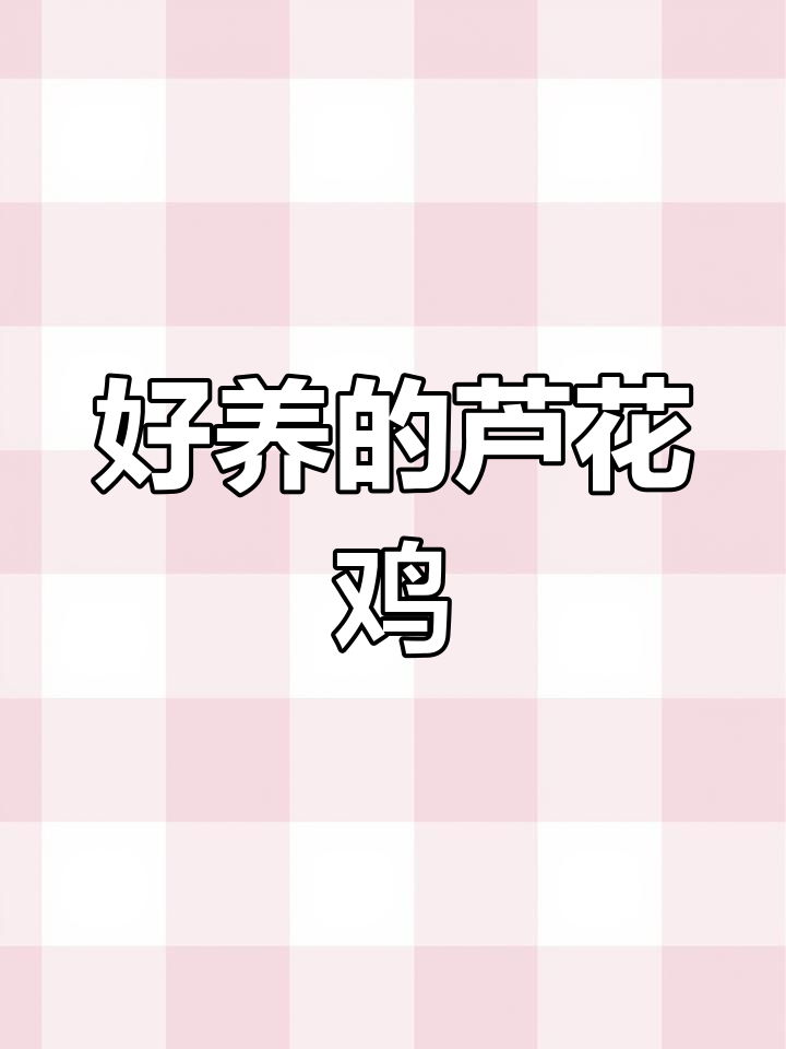芦花鸡苗好养,防疫疫苗全做,南北皆宜