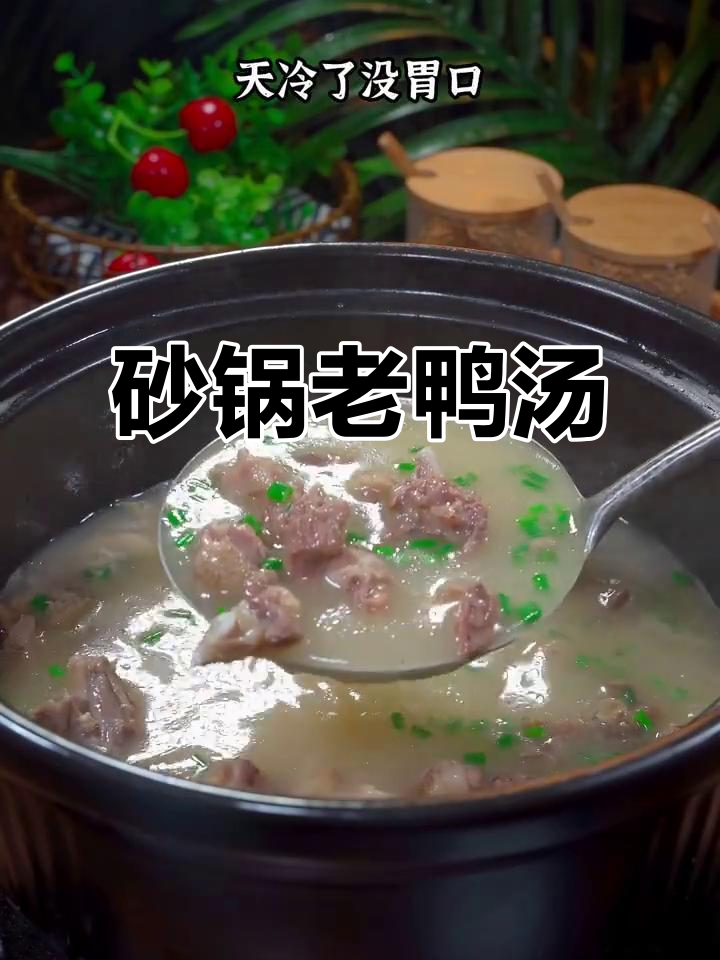 砂锅炖鸭汤，暖心又美味