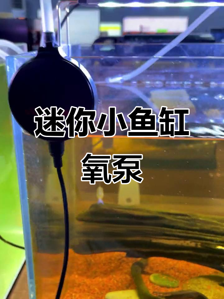 小鱼缸静音氧气泵推荐,功率小但出气量足