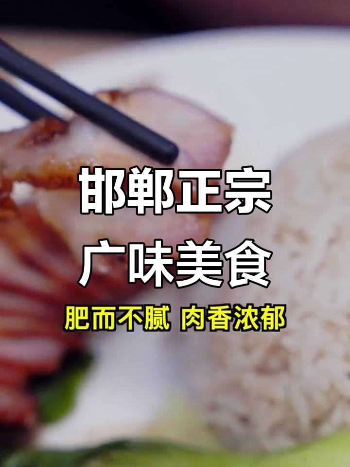 邯郸广式烧鸭饭,叉烧烤肉全体验