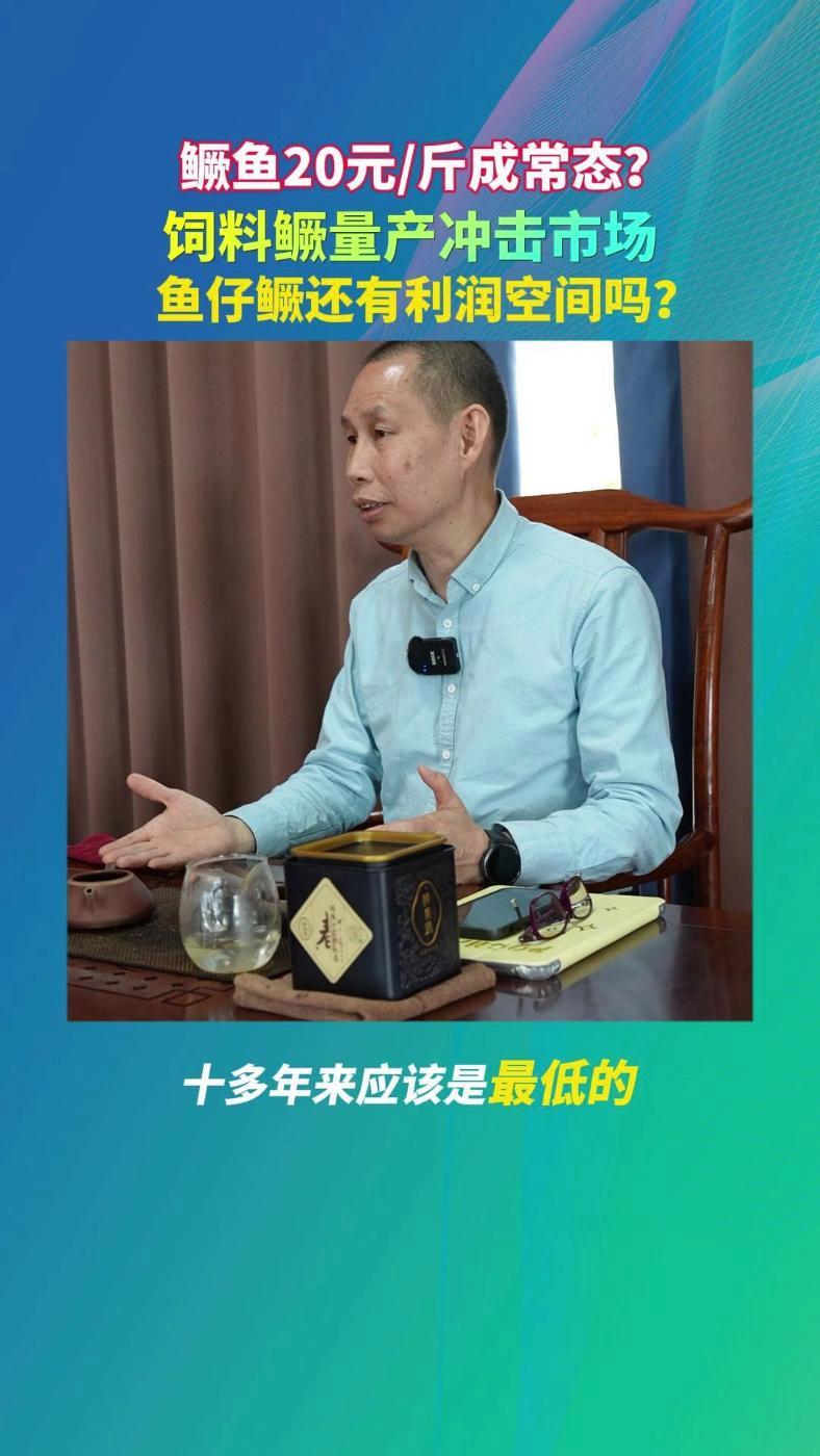 鳜鱼20元斤成常态?饲料鳜量产冲击市场,鱼仔鳜还有利润空间吗?鳜鱼 水产养殖 桂花鱼 第七