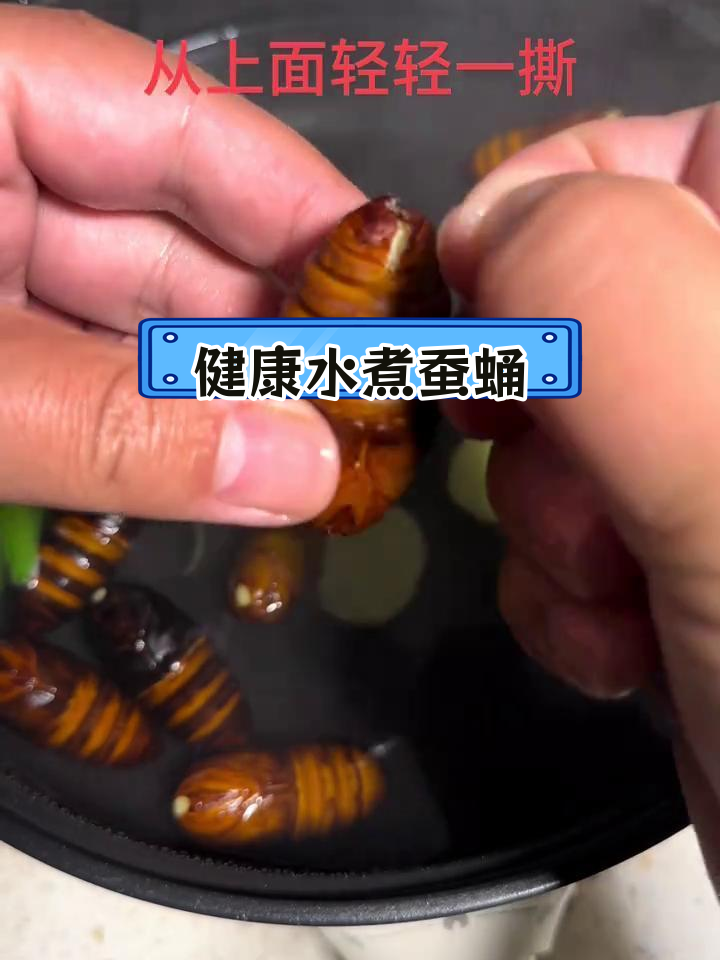 水煮蚕蛹,营养美味轻松享