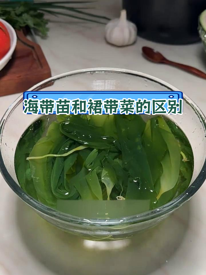 海带苗与裙带菜的差异解析