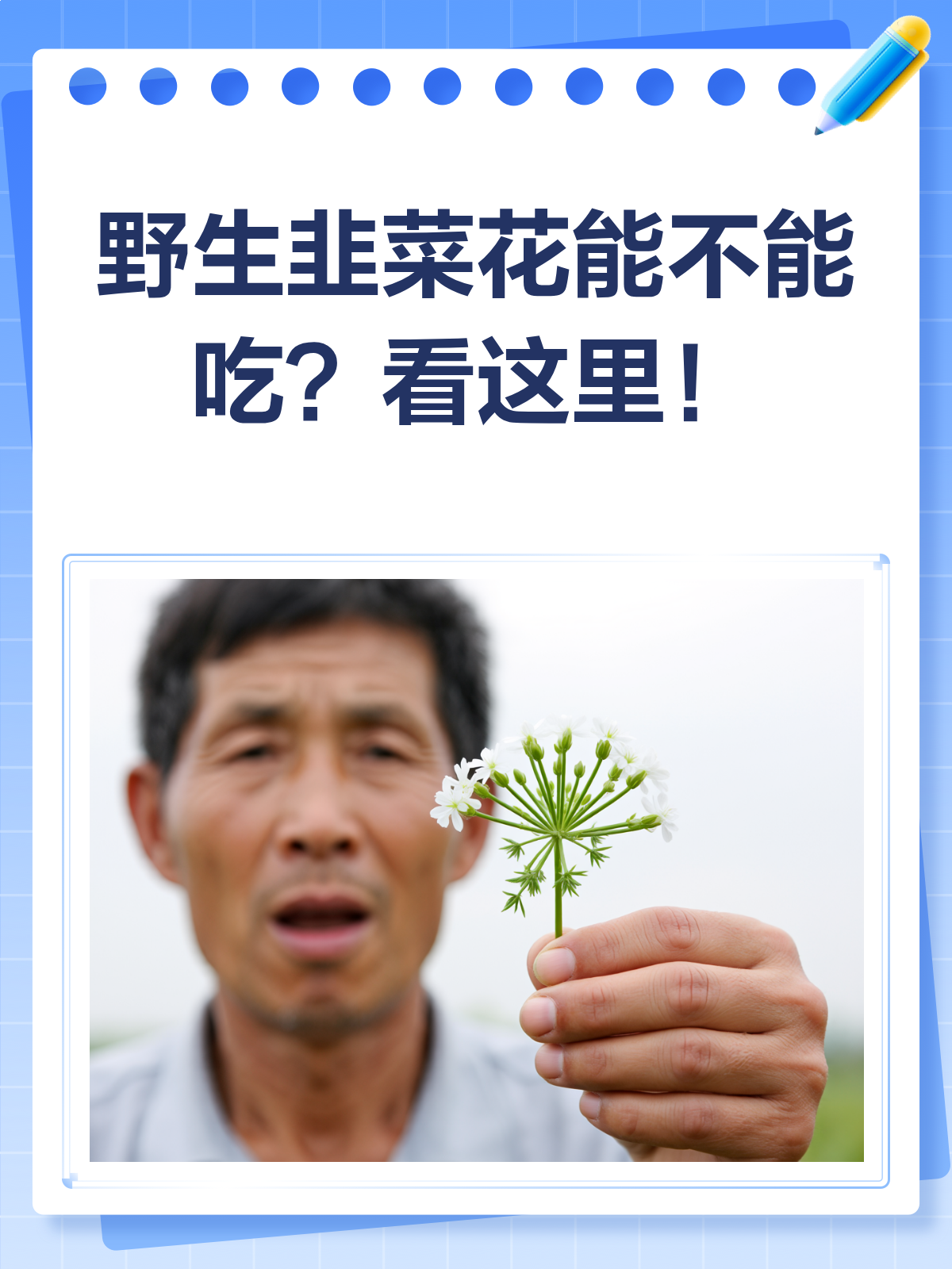 野生韭菜花能不能吃?看完这篇就懂了!