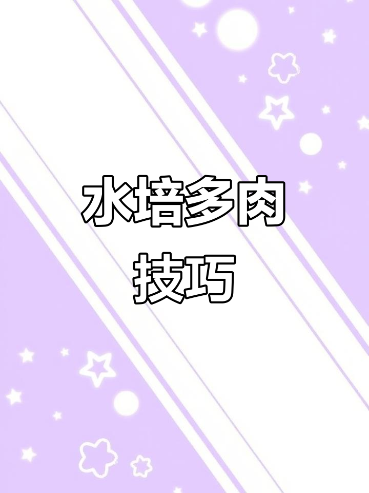 多肉爆盆?试试矿泉水瓶水培,轻松解决空间问题!