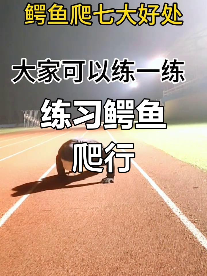 鳄鱼爬行七大益处,轻松体验