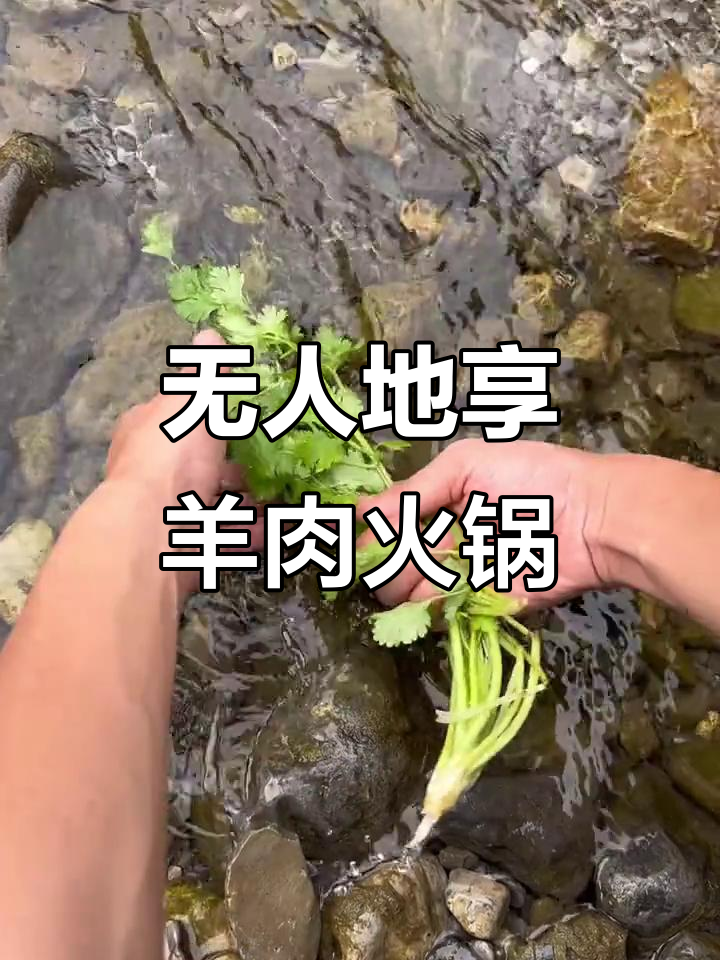 找个无人的地方,享受羊肉火锅与美酒的完美搭配