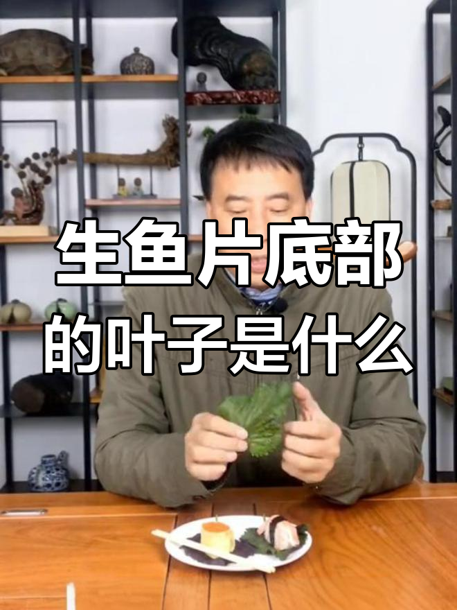 寿司生鱼片下的紫苏叶，竟有解毒功效！