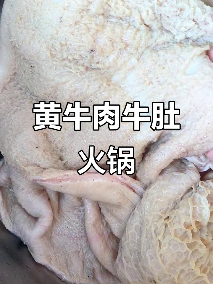 新鲜牛肚火锅做法,黄牛肉搭配麻辣风味