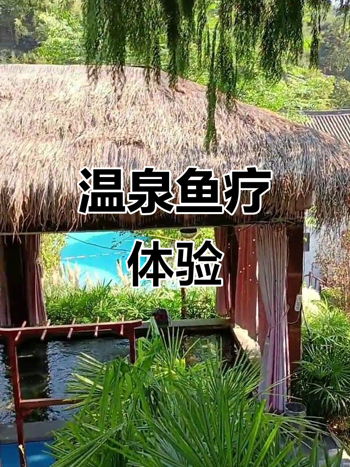 探索温泉鱼疗,感受大自然的治愈力量!