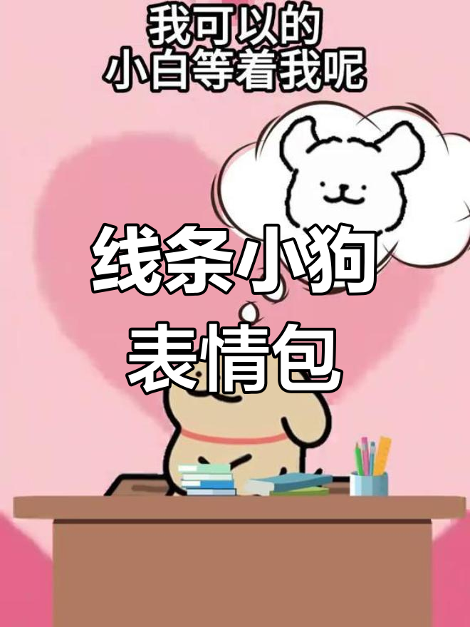 小白与小鸡毛的默契瞬间