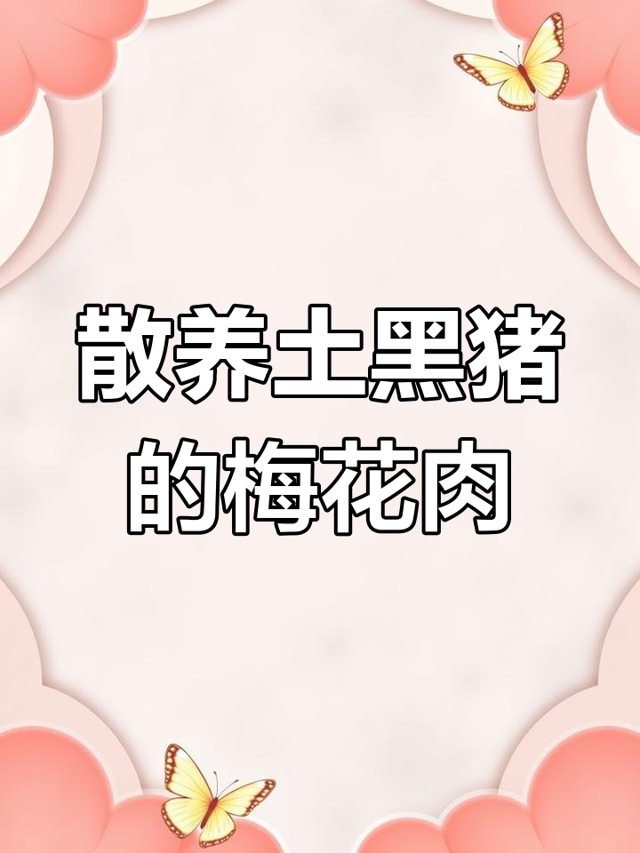 正宗土猪肉,梅花肉鲜香十足,五花肉的完美搭配