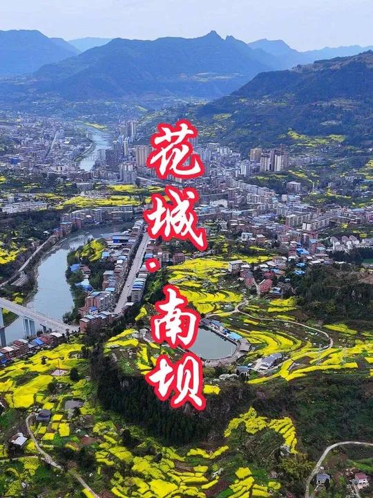南坝,就这般温柔地被油菜花紧紧环绕,田埂成为大地的脉络,蜿蜒其间,分割出一块块金色的梦境