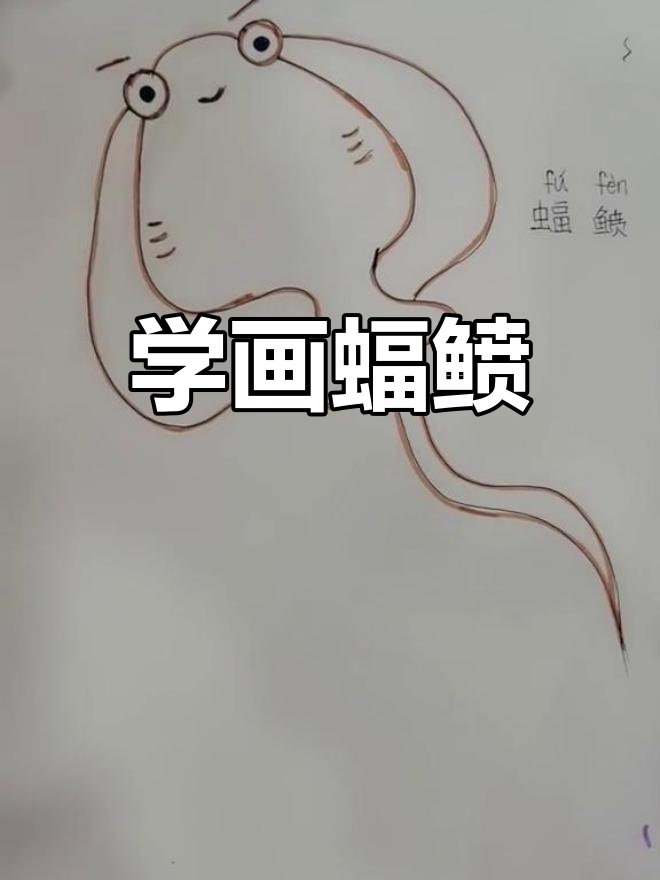 蝠鲼简笔画教程