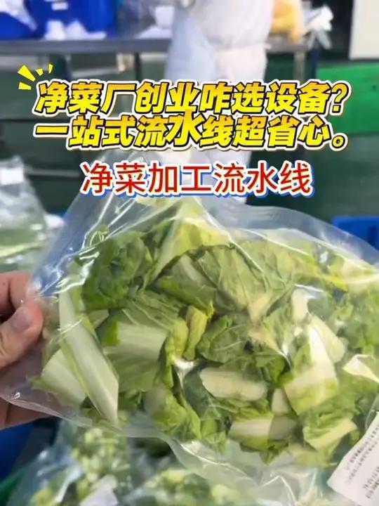 净菜厂创业咋选设备？一站式流水线超省心
