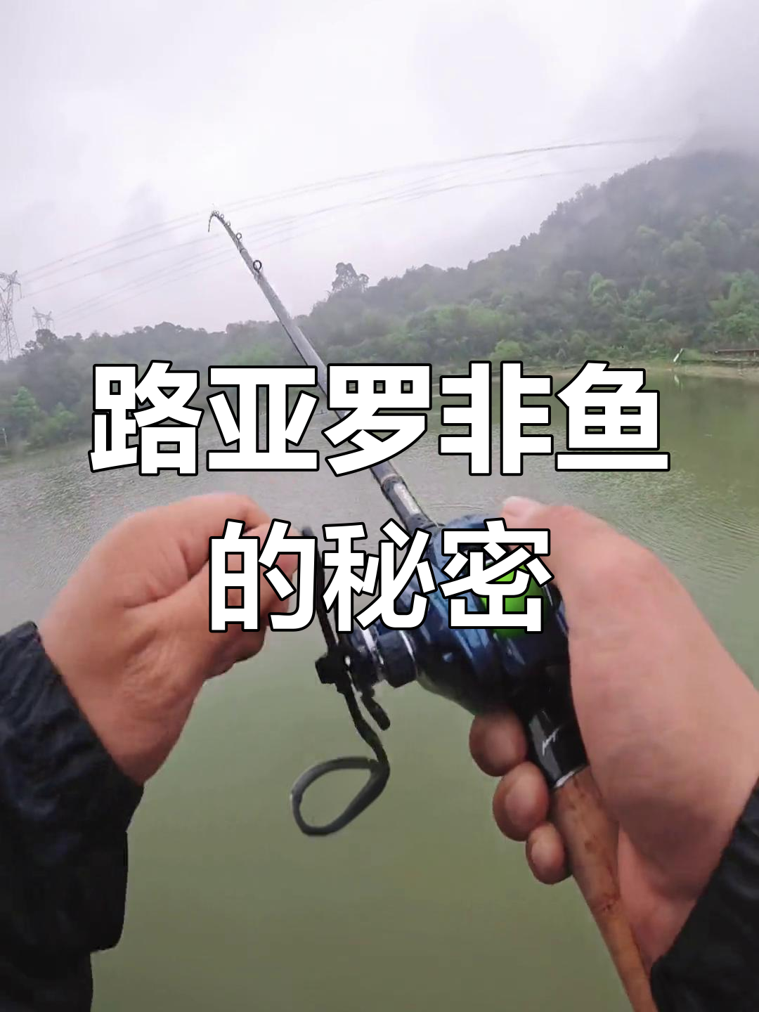罗非鱼是否适合路亚钓?