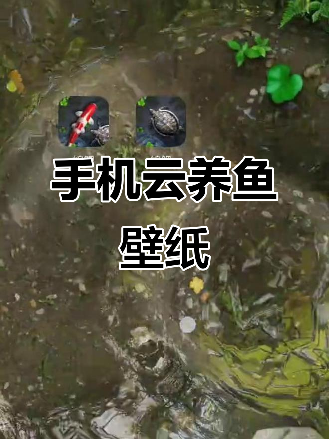 3D锦鲤壁纸：手机云养鱼，体验互动乐趣