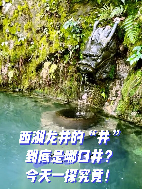 龙井是哪口井?18颗御茶真的吗?关于龙井茶……