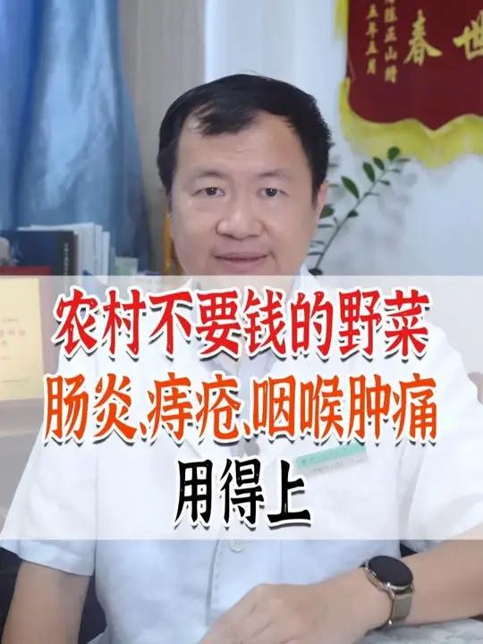 农村不要钱的野菜,肠炎、痔疮、咽喉肿痛用得上