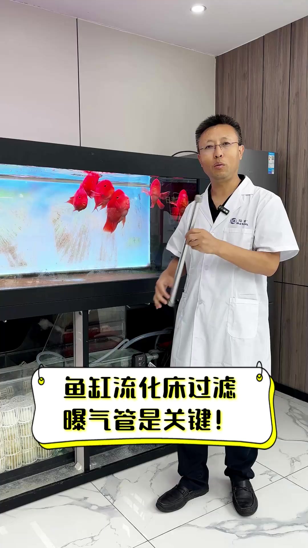 鱼缸流化床过滤,曝气管是关键!