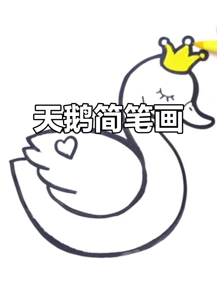 治愈系天鹅手绘,简单又可爱