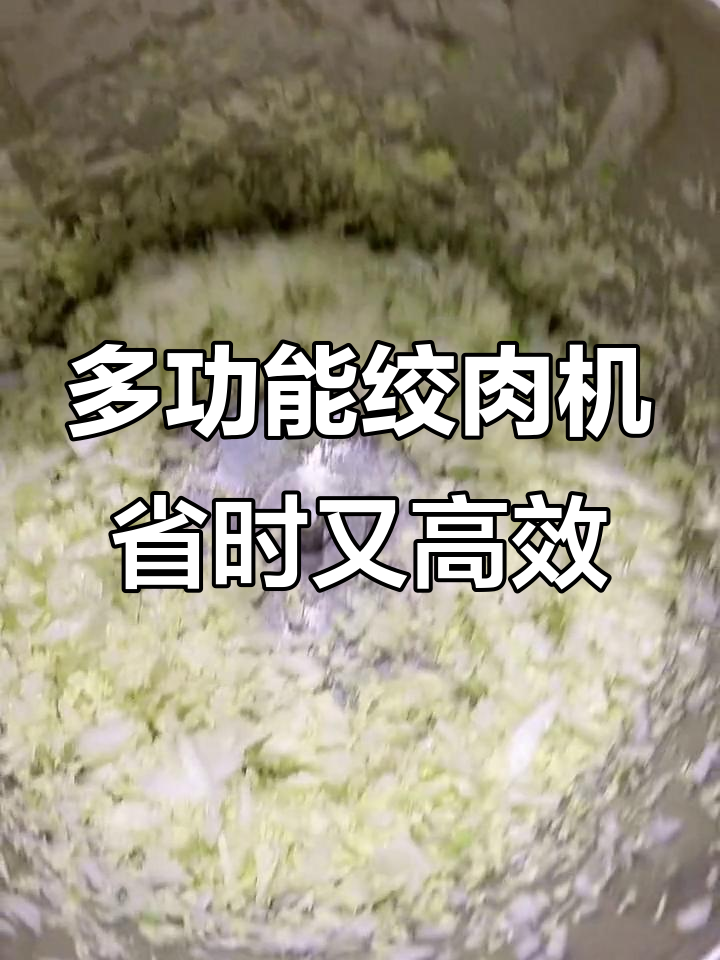 一台绞肉机搞定水饺馅料,白菜、猪肉轻松搅碎