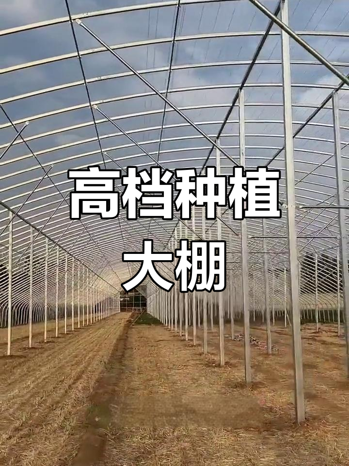 高端蔬菜大棚设计方案解析