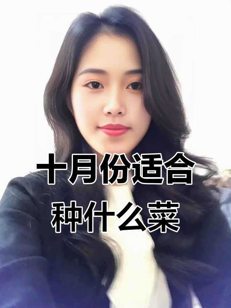 十月播种这些蔬菜,冬季不怕冻害