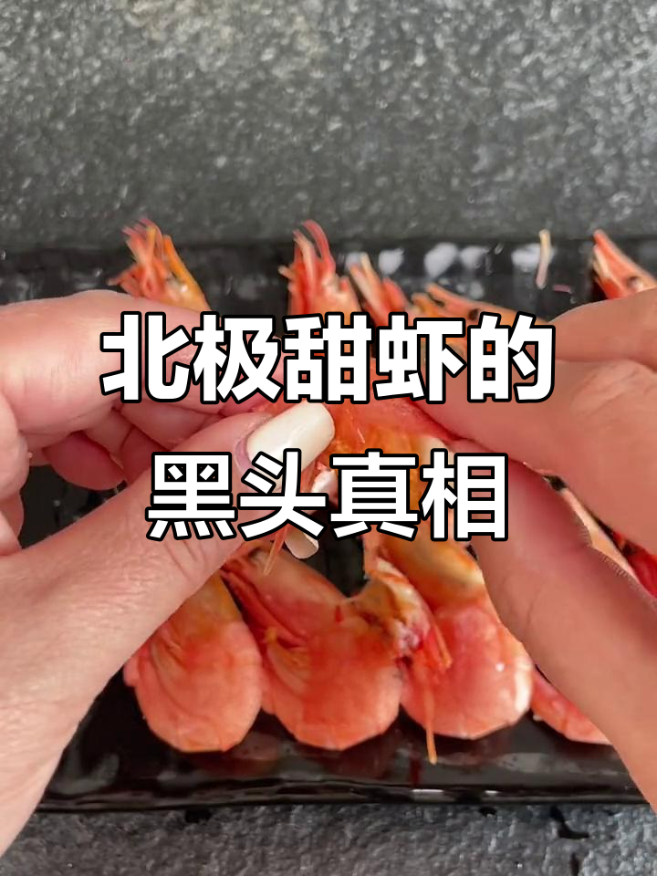 北极甜虾的成长与黑头现象揭秘,深海美味背后的秘密