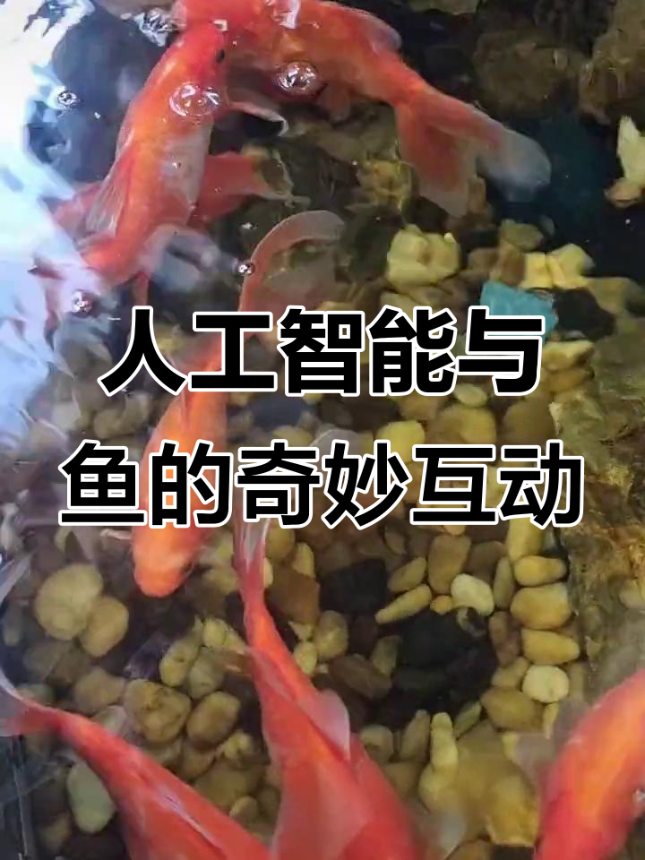 AI抖音：鱼群大作战，章鱼也能变孙子