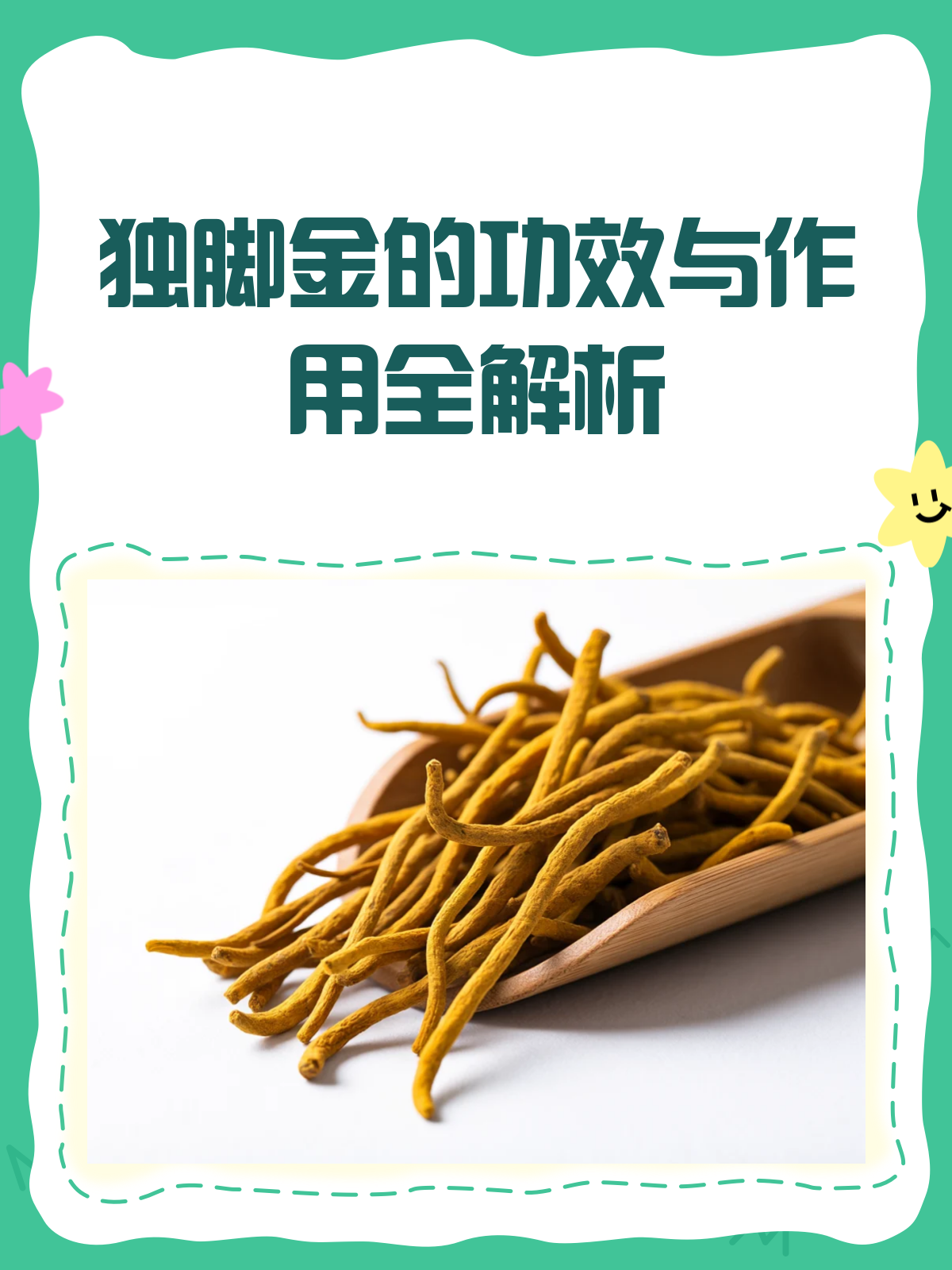 独脚金：清热消积的神奇中草药