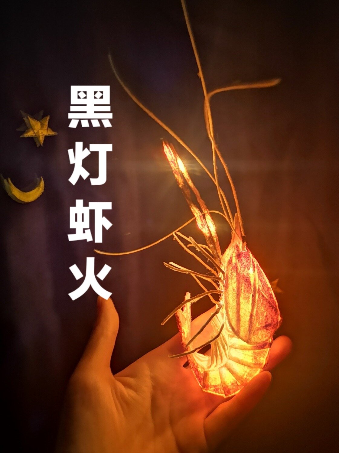 鱼灯见多了,虾灯见过没有?