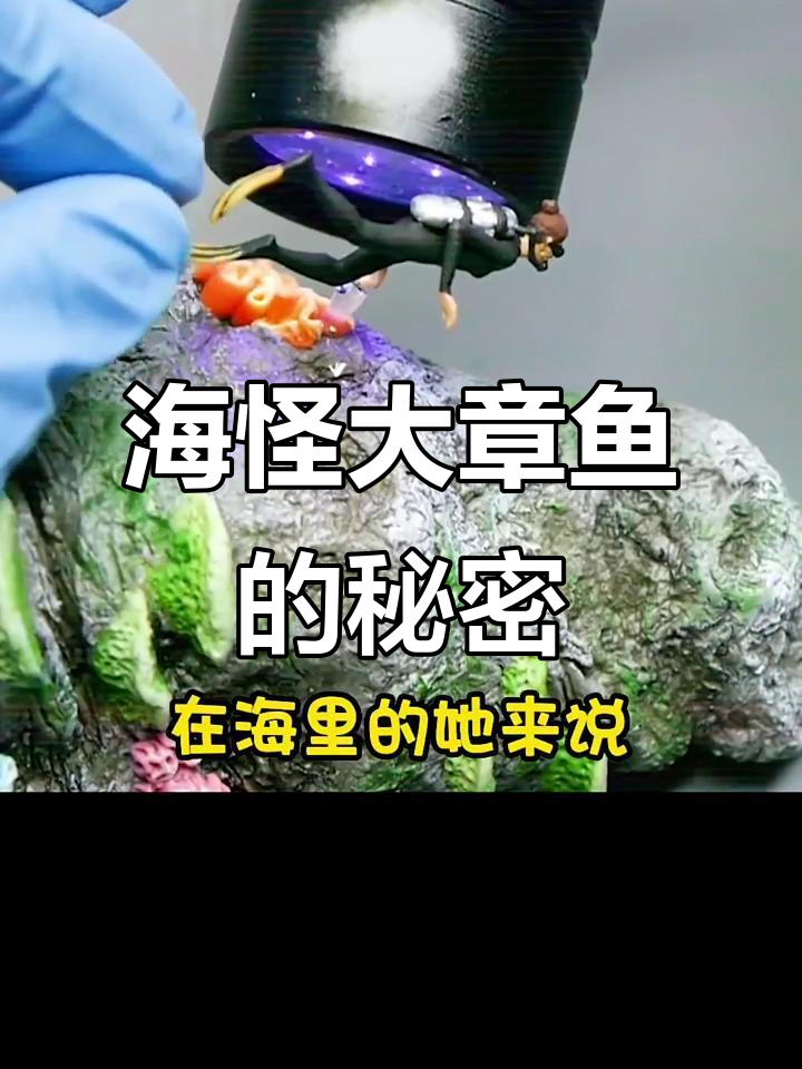 巨型章鱼伪装成岩石,捕食潜水者!