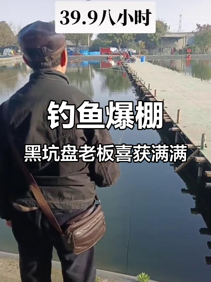 天景龙山庄钓鱼大丰收,黑坑盘老板笑开怀
