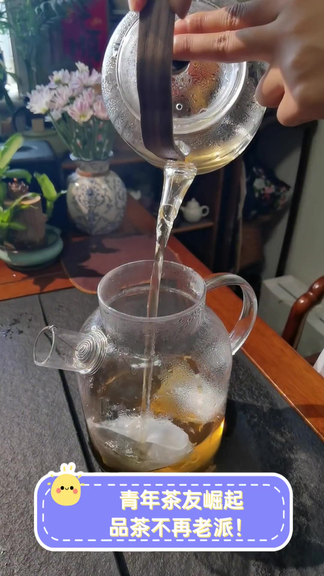 青年茶友崛起,品茶不再老派!