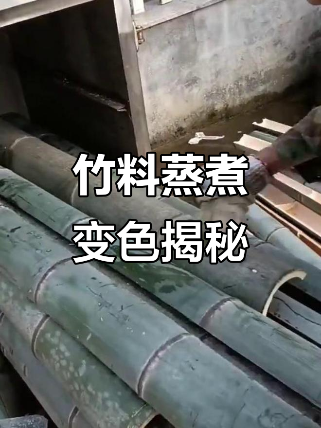 竹子蒸煮前后颜色变化,高温下的奇妙反应
