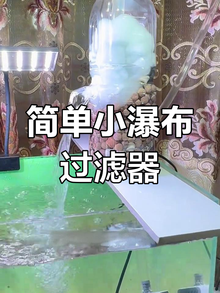 自制简易瀑布过滤,提升鱼缸水质