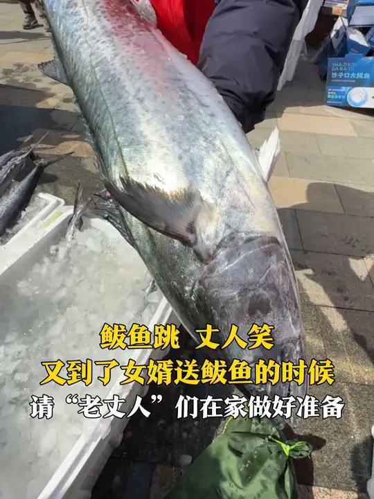 鲅鱼跳,丈人笑!4月13日,山东青岛,第二十一届沙子口鲅鱼节开幕,女婿买10斤的大鲅鱼送给