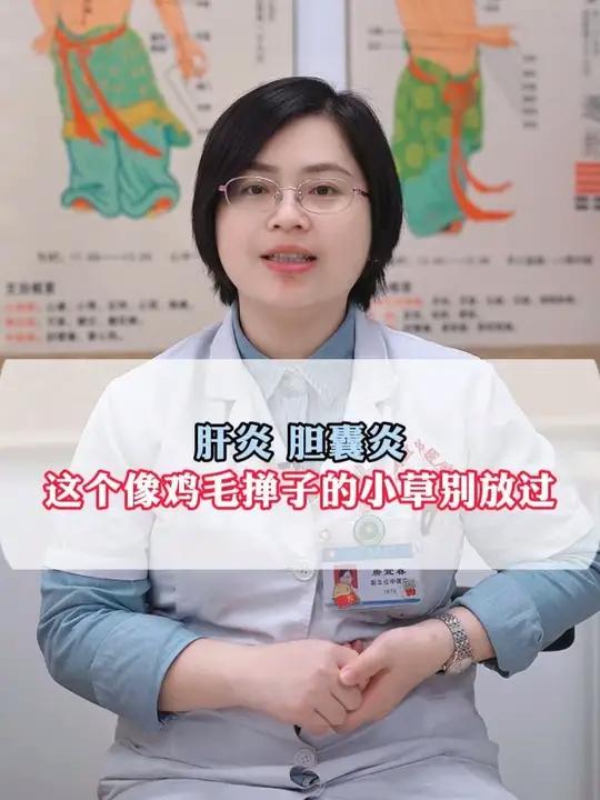 肝炎,胆囊炎,这个像鸡毛掸子的小草别放过