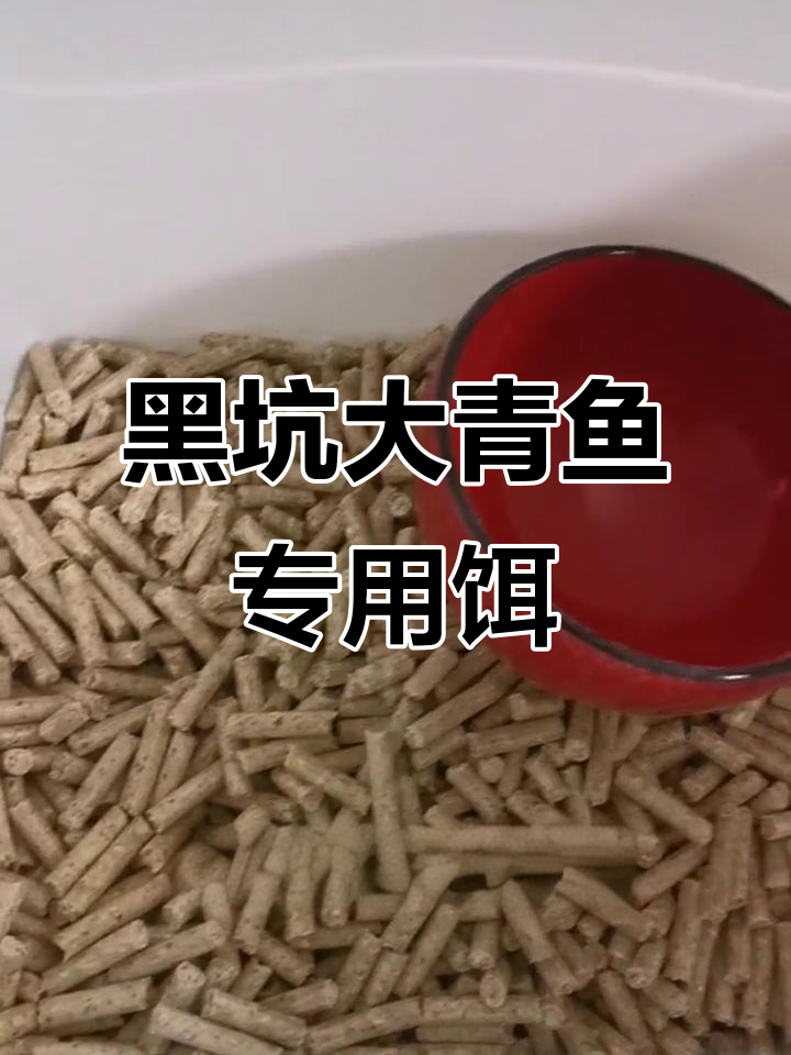 大青鱼黑坑专用蚕豆颗粒饵料,诱钓效果显著