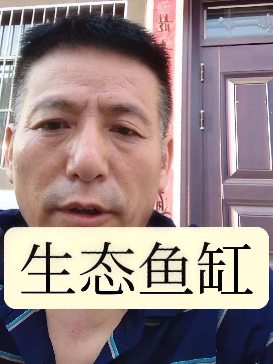 何谓生态鱼缸,生态鱼缸难道就是永不换水吗?别交智商税了!正能量 生态鱼缸 杨凌养鱼达人