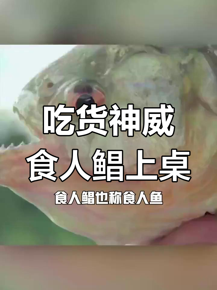 食人鱼入侵餐桌,挑战中华美食