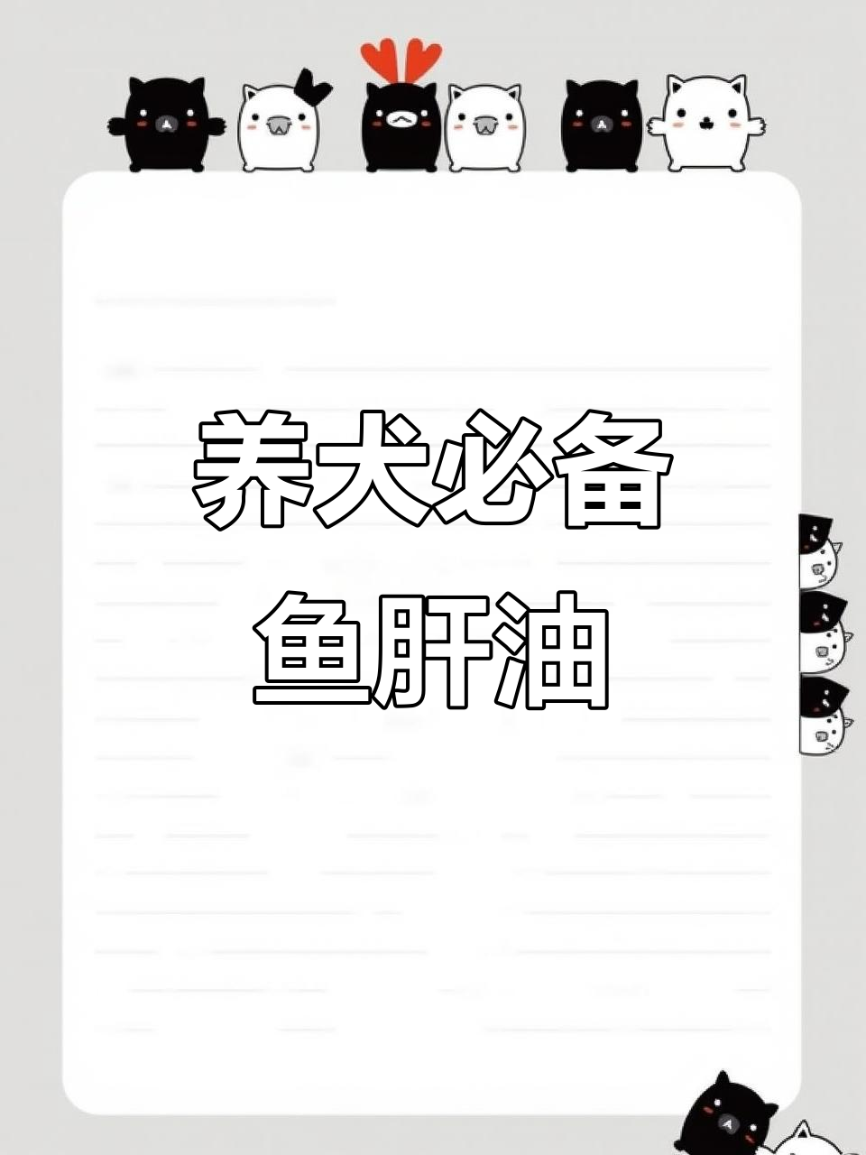 鱼肝油助力狗狗美毛,补充维生素A和D
