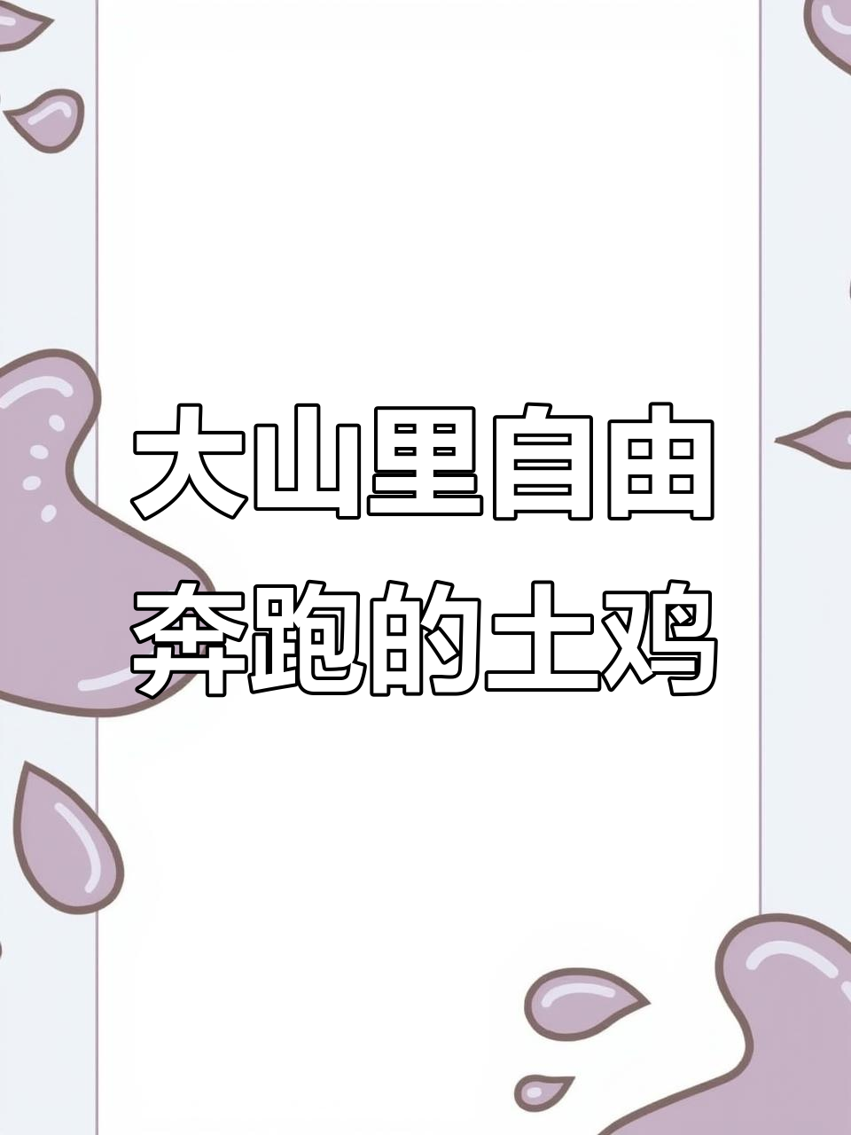 散养土鸡的绿色山林生活,跑山鸡的自然成长