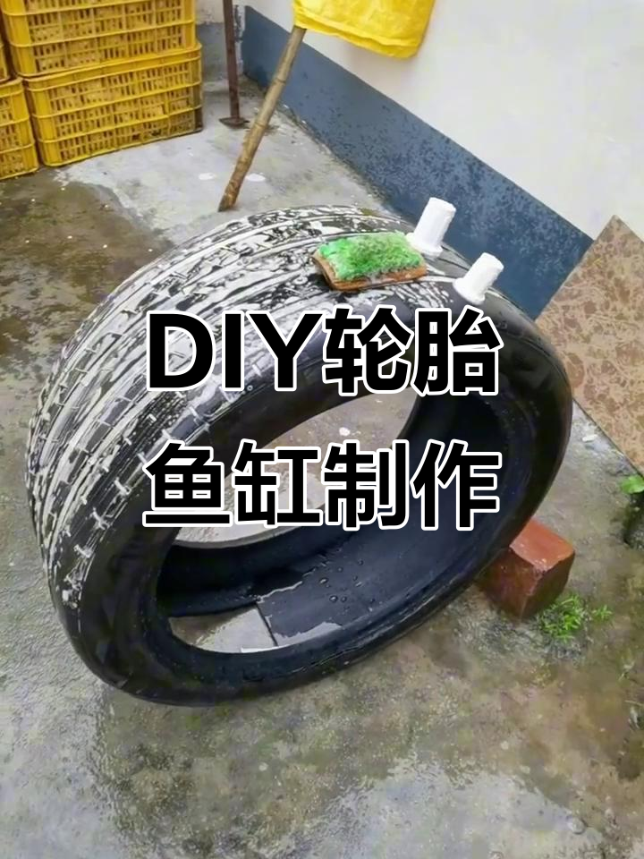 废旧轮胎变鱼缸，简单步骤打造个性化家居装饰