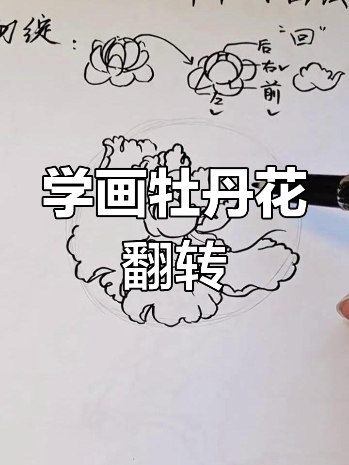 牡丹花白描技巧,轻松画出花瓣翻转效果