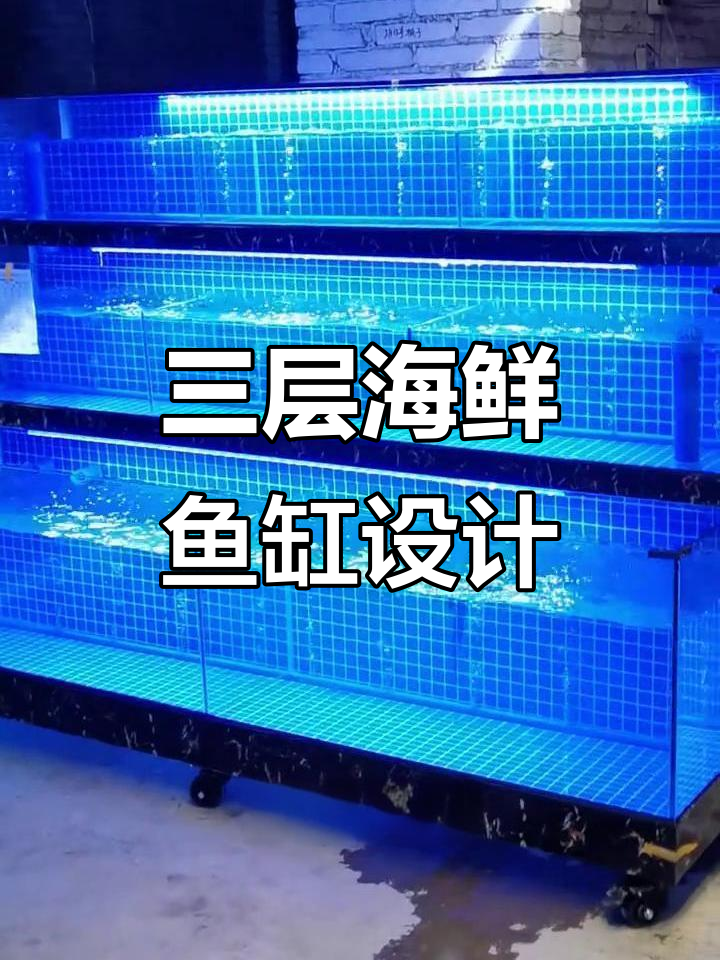 重庆铜梁定制三层海鲜鱼缸,超大淡水鱼轻松养